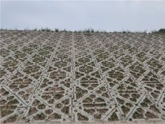 生态护坡案例
